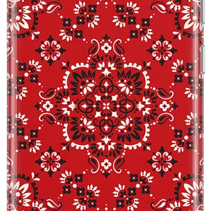 I'm with the Band | Red Bandana Print Samsung Case