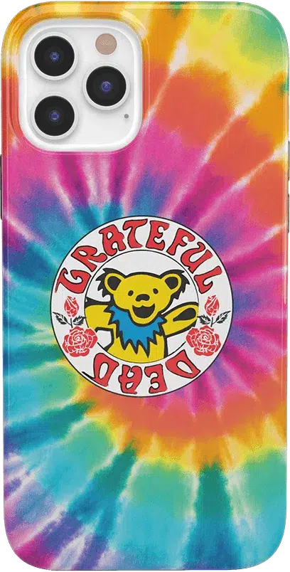 On Tour | Grateful Dead Tie Dye Sticker Case