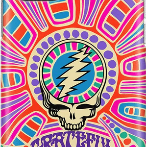 Art of Chaos | Grateful Dead Skull Case