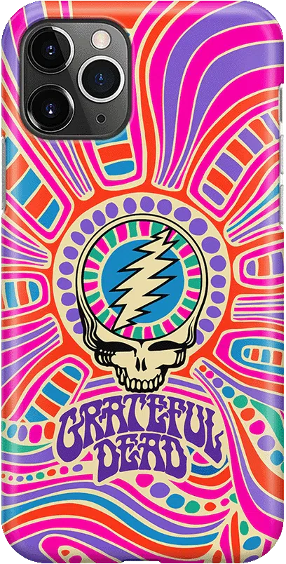Art of Chaos | Grateful Dead Skull Case
