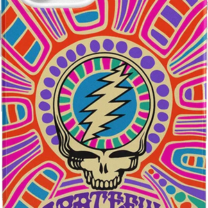 Art of Chaos | Grateful Dead Skull Case