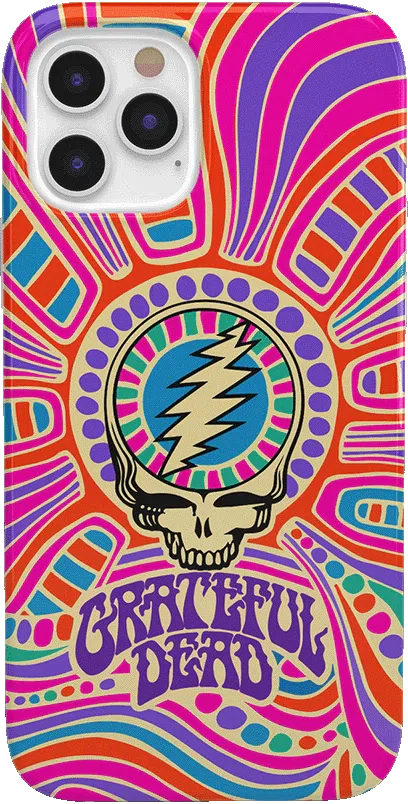 Art of Chaos | Grateful Dead Skull Case