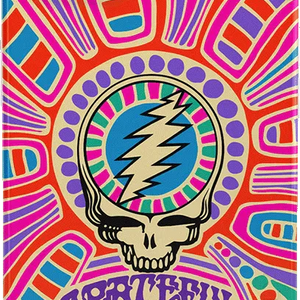 Art of Chaos | Grateful Dead Skull Case