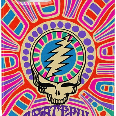 Art of Chaos | Grateful Dead Skull Case