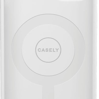 Vincent’s Flowers | Van Gogh Museum Case