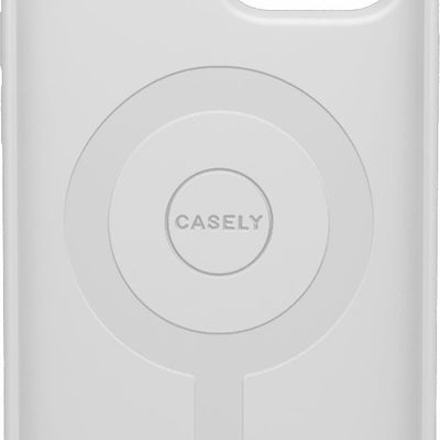 Vincent’s Flowers | Van Gogh Museum Case