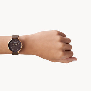 Skagen Aaren  Brown Dial Women 36mm