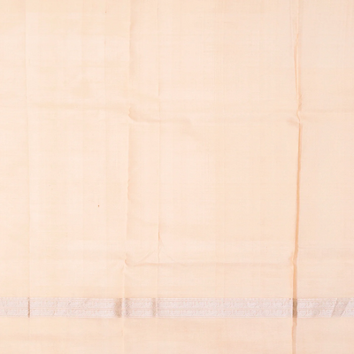 Taupe Handloom Chirala Soft Silk Saree With Annam Motifs-Taupe