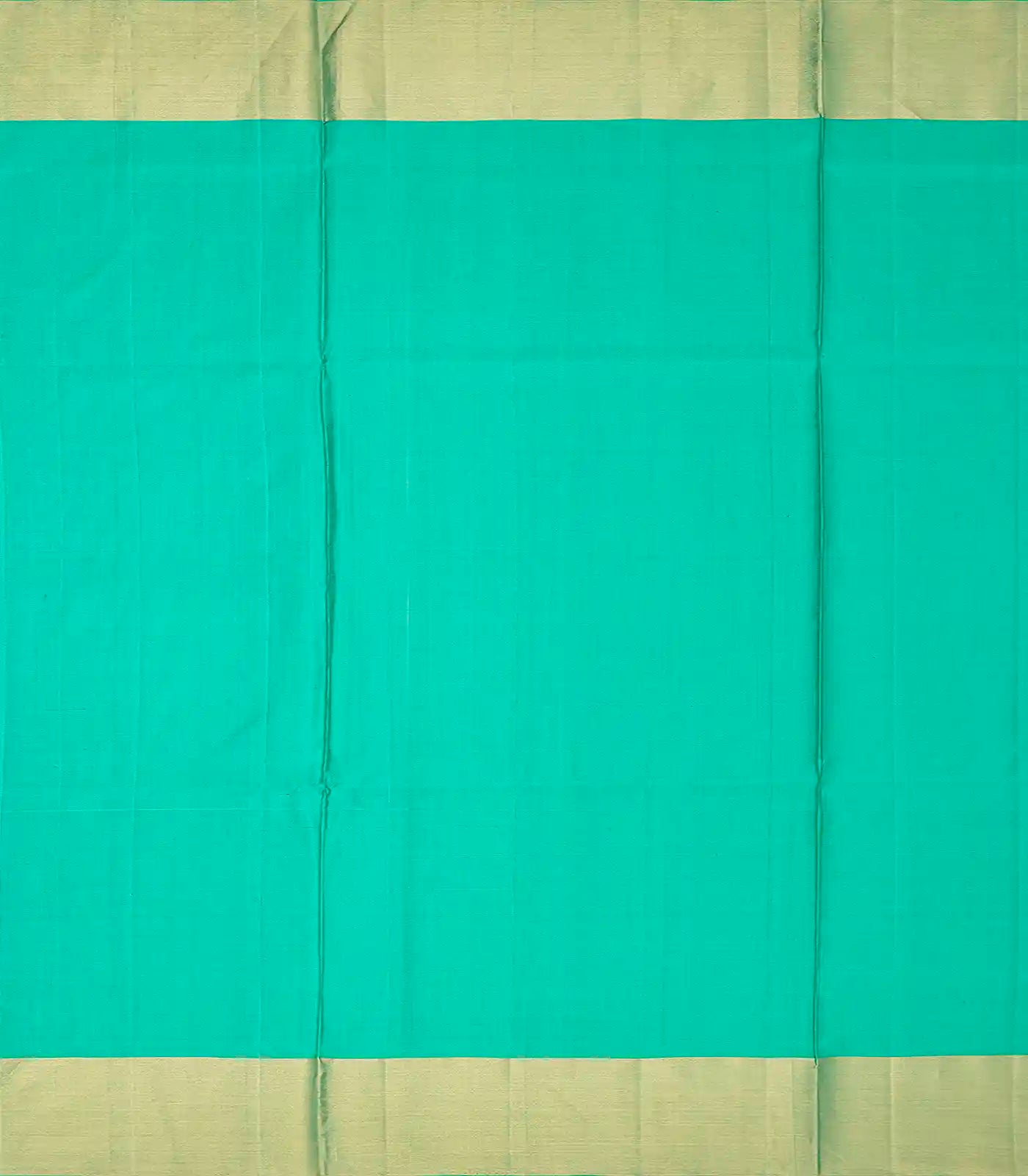 Aquamarine Handloom Soft Silk Saree With Floral Vine Motifs-Aquamarine