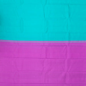 Turquoise Handloom Soft Silk Saree With Contrast Pallu-Turquoise