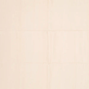 Cream Handloom Soft Silk Saree With Floral Motifs-Cream