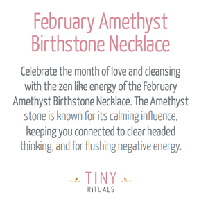 February Amethyst Birthstone Necklace