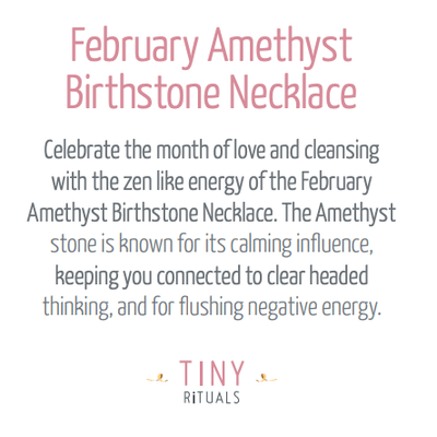 February Amethyst Birthstone Necklace