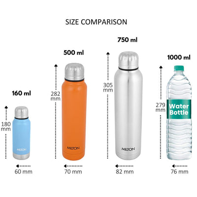 Slender Thermosteel Bottle (Milton)