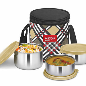 Smart Meal Insulated Lunch Box (Milton)