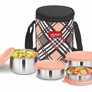 Smart Meal Insulated Lunch Box (Milton)
