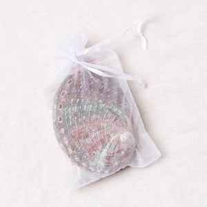 Small Abalone Shell Kit