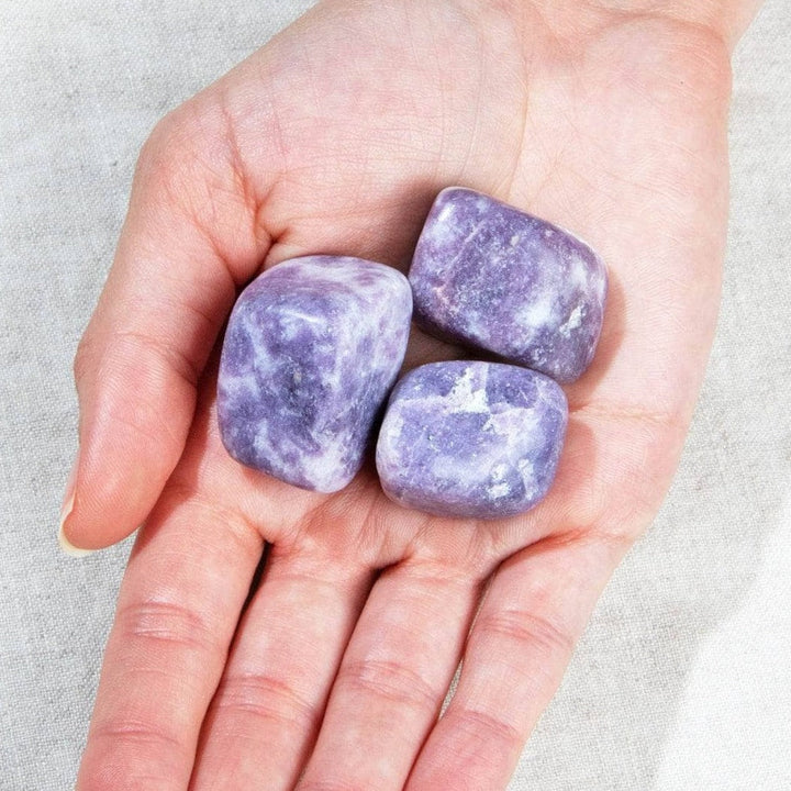 Lepidolite Stone Set