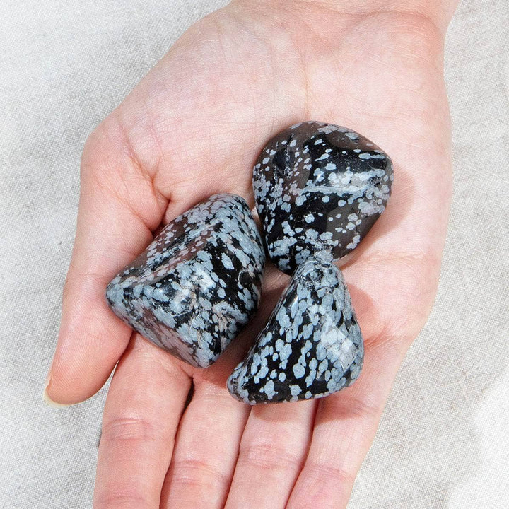 Snowflake Obsidian Stone Set