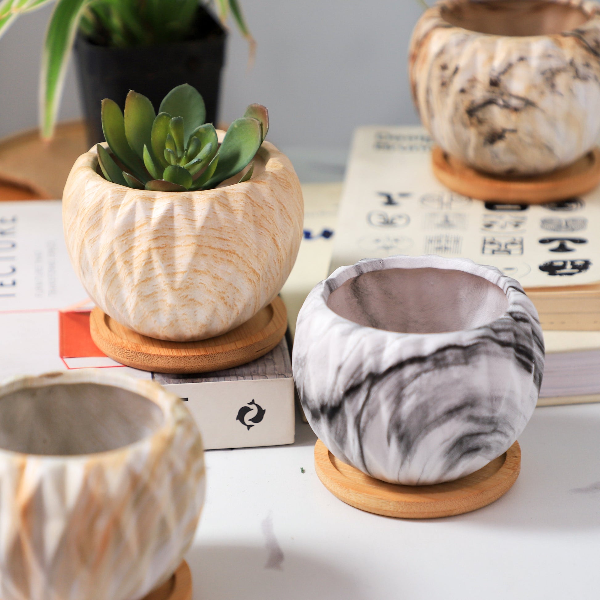 Succulent Planter