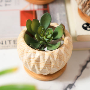 Succulent Planter