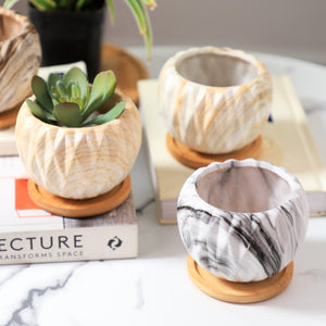 Succulent Planter
