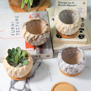 Succulent Planter