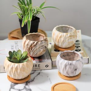 Succulent Planter