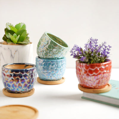 Succulent Pots