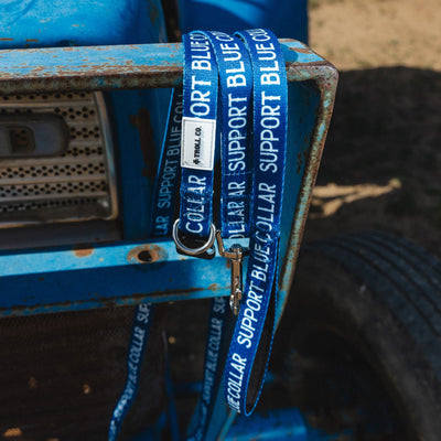 SBC Heavy Duty Dog Collar