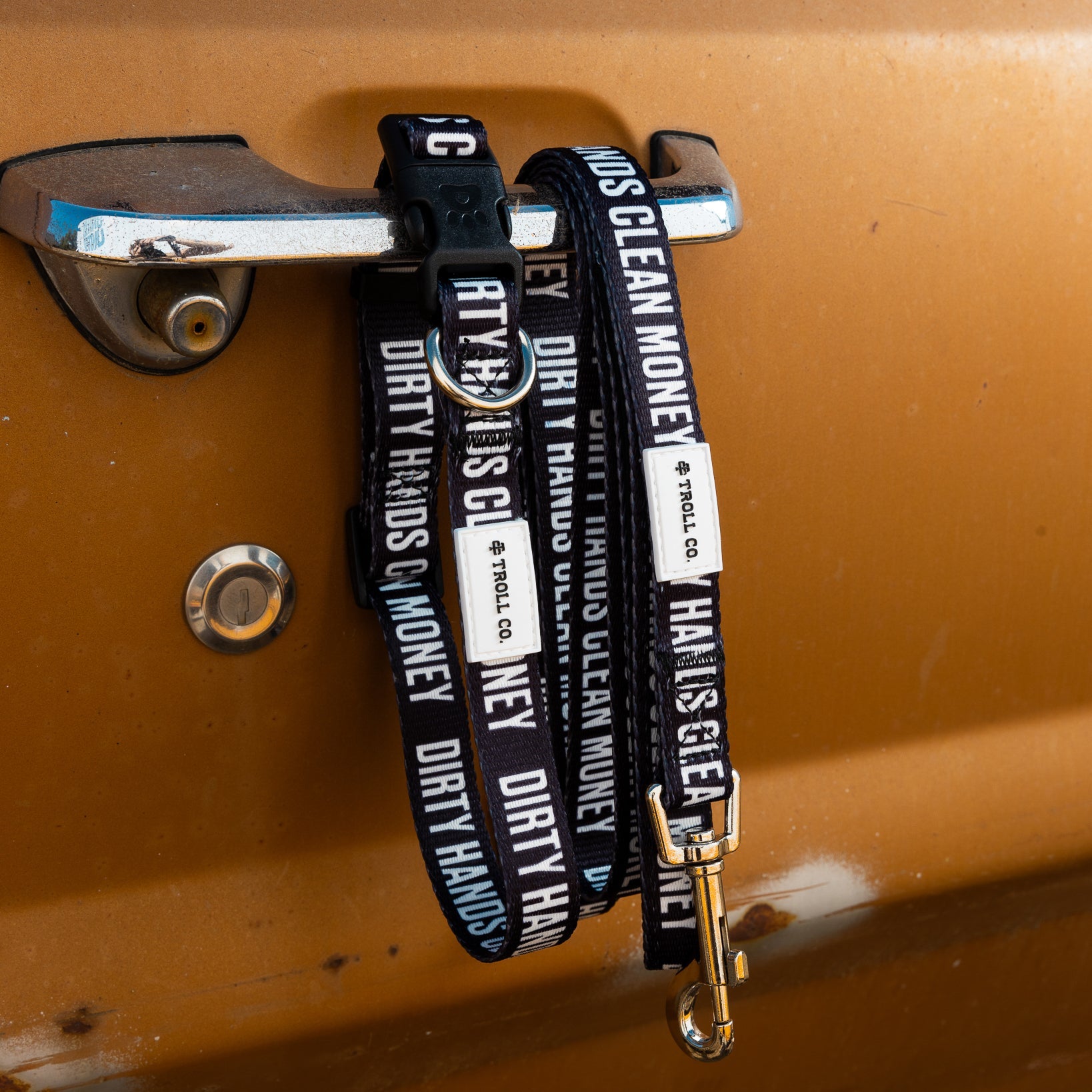 DHCM Heavy Duty Dog Leash