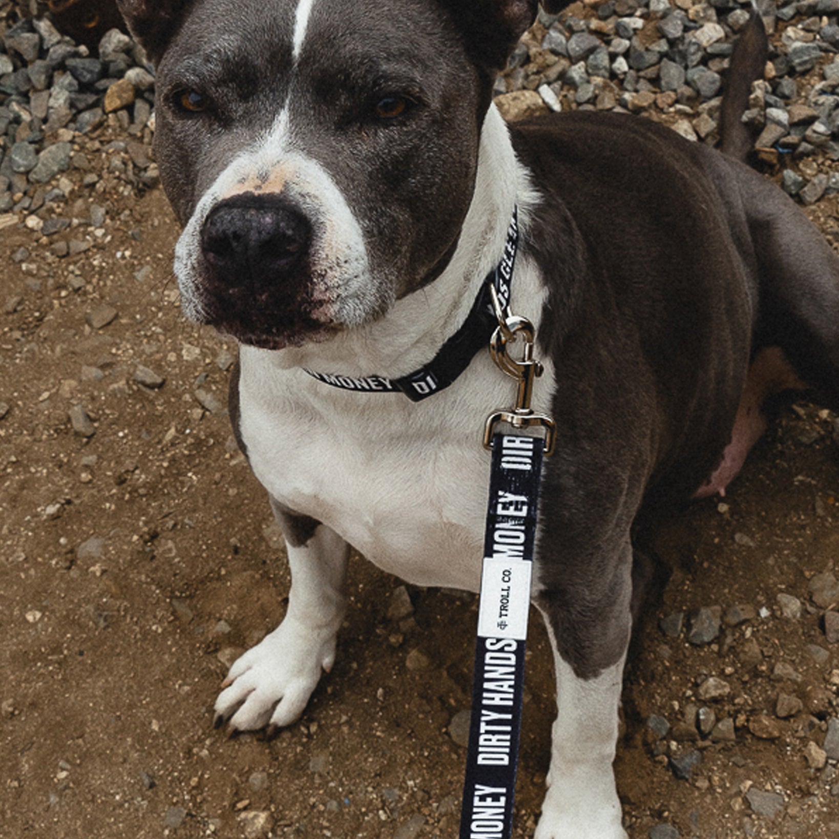 DHCM Heavy Duty Dog Leash