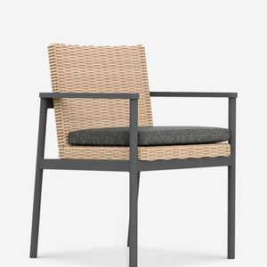 Walsh Indoor / Outdoor Dining Arm Chair (Set of 2)