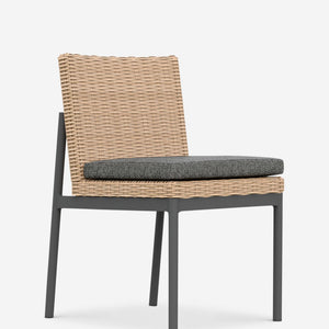 Walsh Indoor / Outdoor Dining Chair (Set of 2)