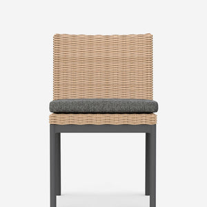 Walsh Indoor / Outdoor Dining Chair (Set of 2)