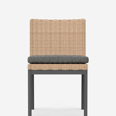 Walsh Indoor / Outdoor Dining Chair (Set of 2)