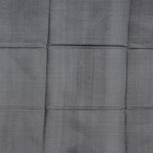 Grey Handwoven Tussar Silk Saree