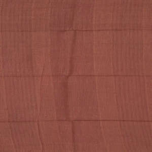 Brown Woven Tussar Silk Saree With Rudraksham Motifs-Brown