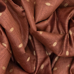 Brown Woven Tussar Silk Saree With Rudraksham Motifs-Brown