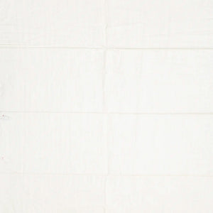 White Handwoven Tussar Silk Saree With Fish Motifs-White