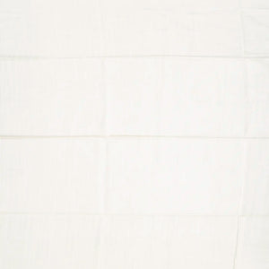 Cream Handwoven Tussar Silk Saree With Fish Motifs-Cream