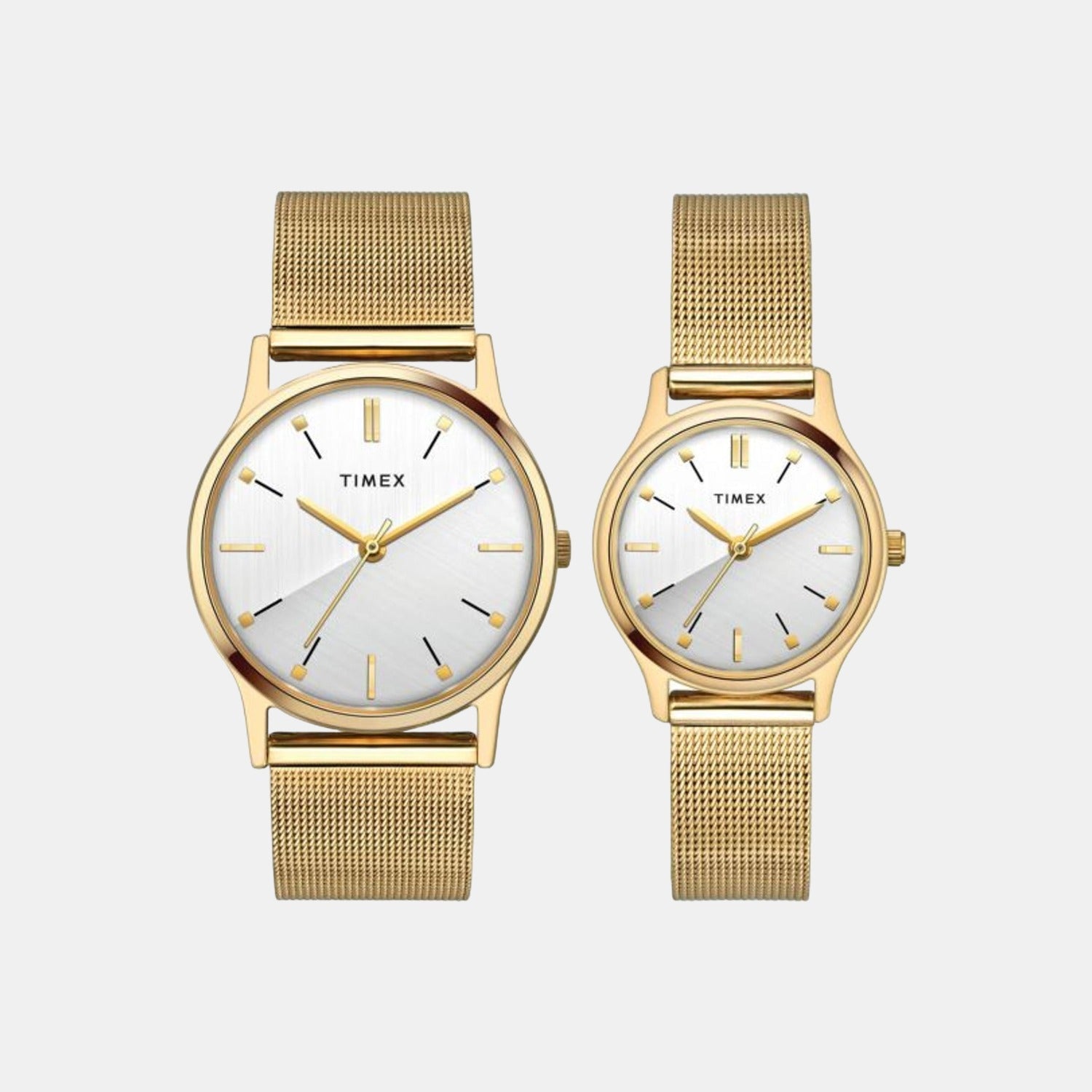Classics Couple Quartz Silver Dial Analog Stainless Steel Watch TW00PR276