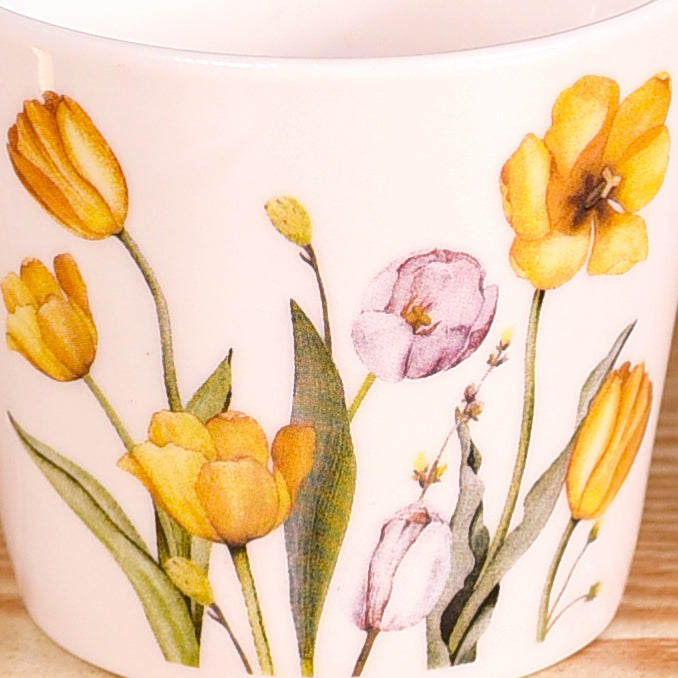 Tulip Of The Valley Tea Cup Set Of 6 150ml