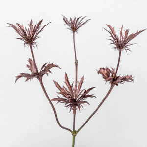 Bronze Rose Gold Thistle Flower