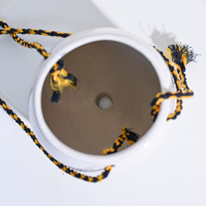 Ladybug Handmade Ceramic Hanging Planter