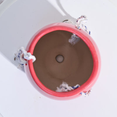 Ladybug Handmade Ceramic Hanging Planter