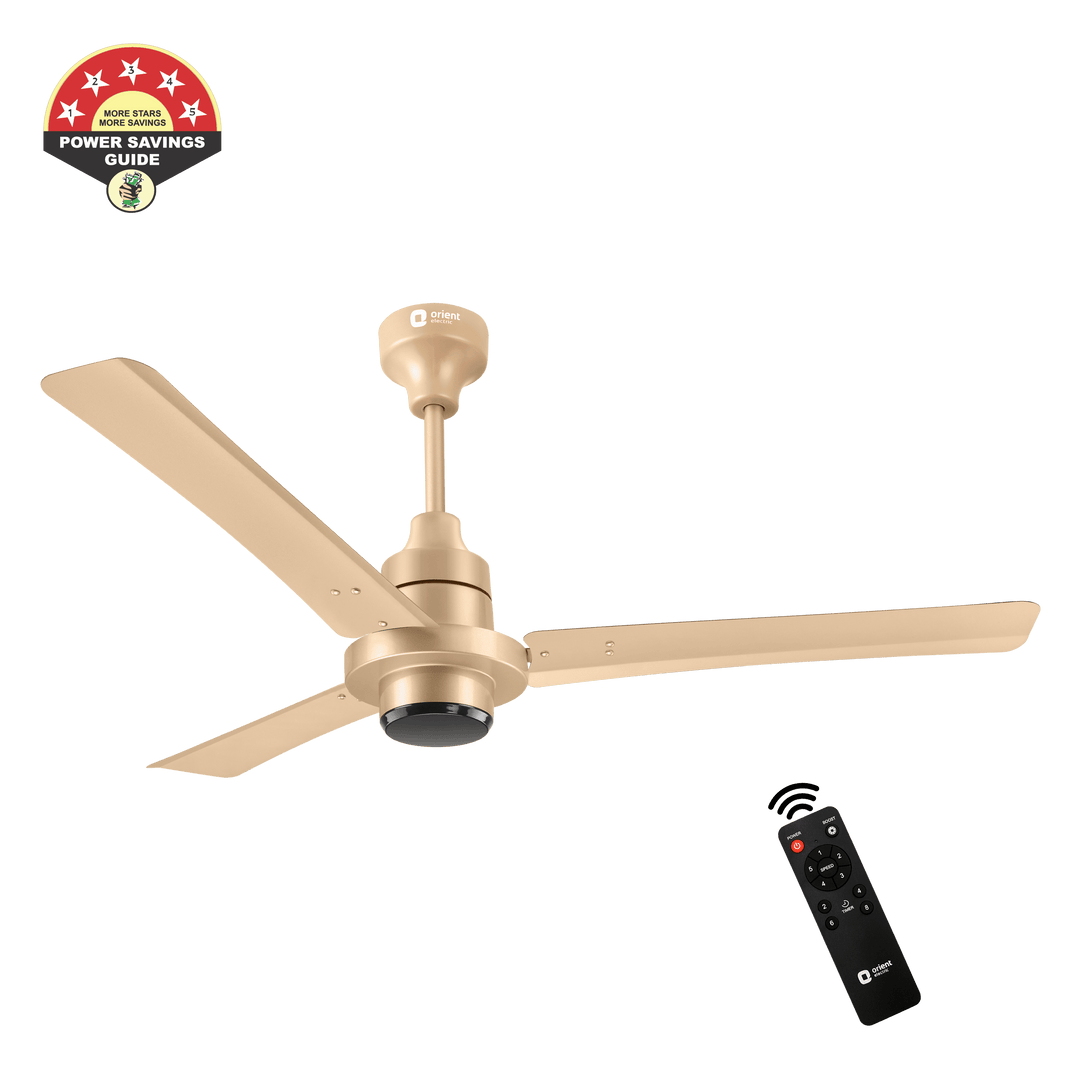 EcoTech Supreme 1200mm Energy Efficient BLDC Ceiling Fan