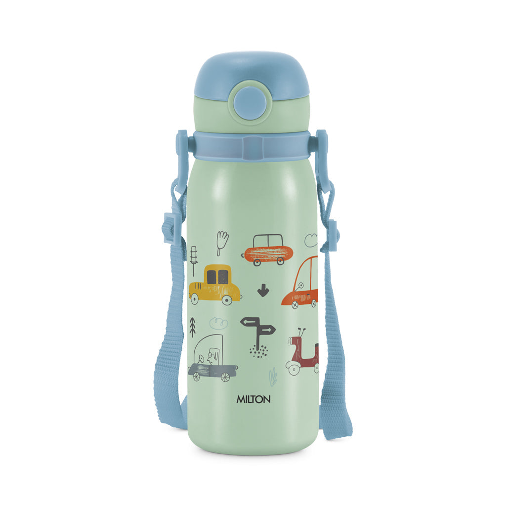 Torque Stainless Steel Bottle (Milton)