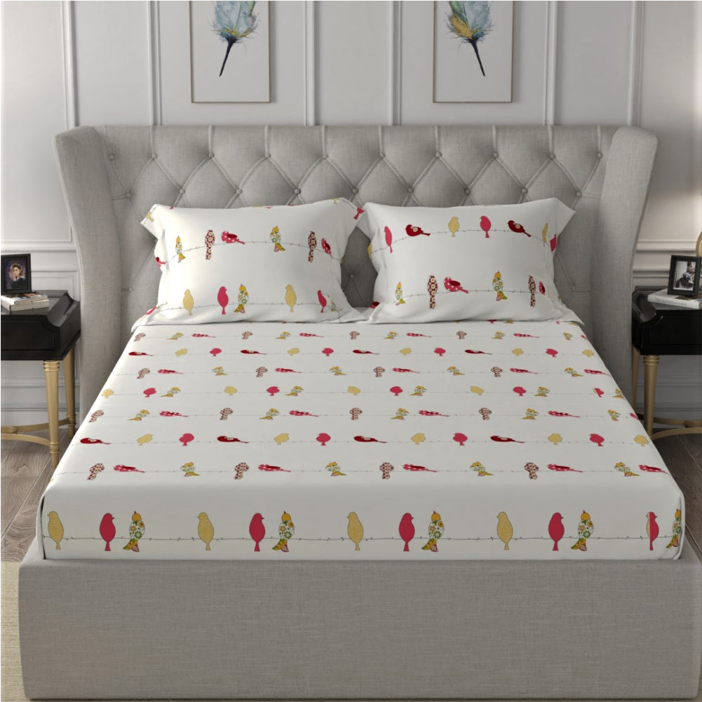 Fitted King Size Cotton Bedsheet - humming bird