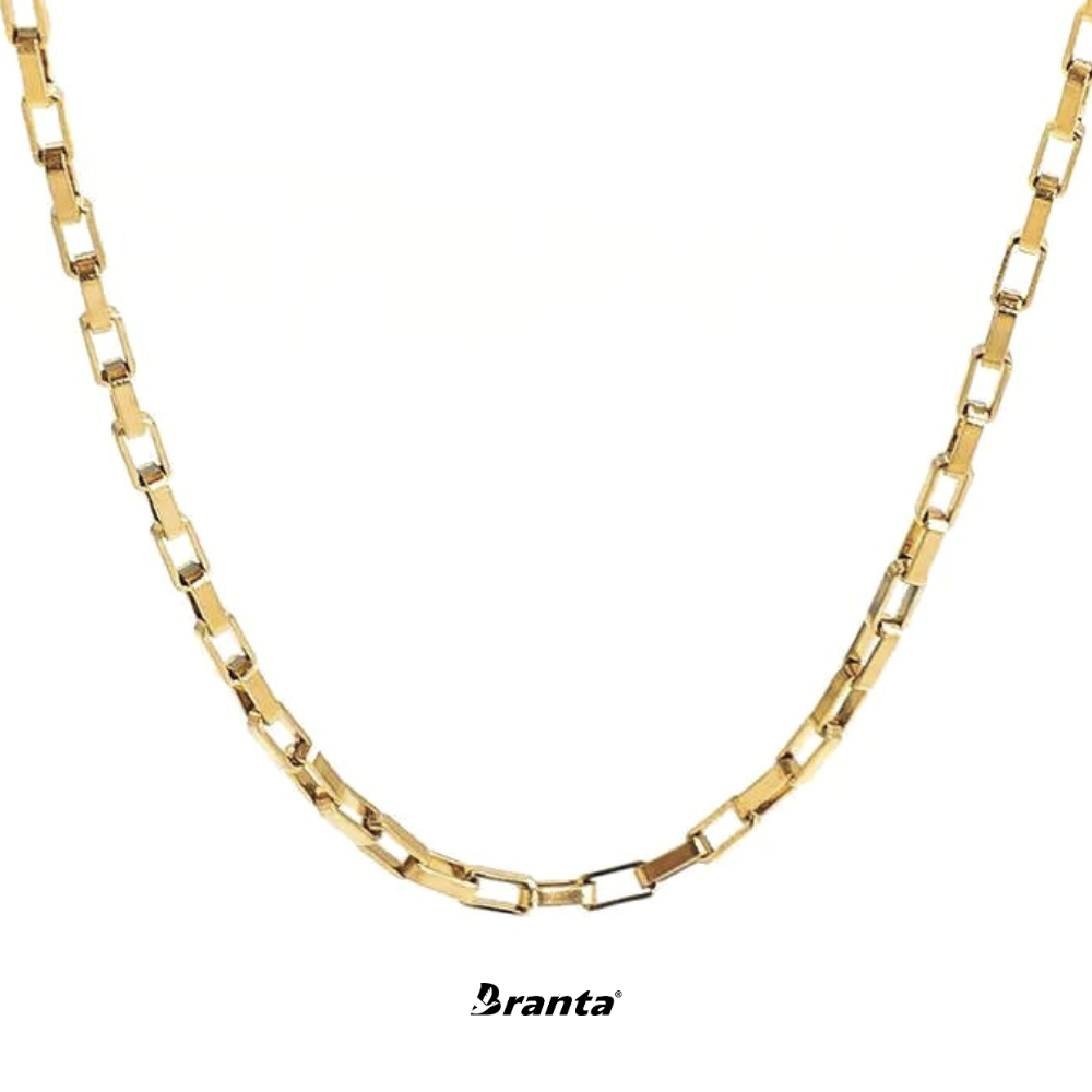 Branta Square-Link Statement Necklace For Men (21 Inch)